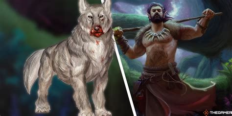 druid wild shape